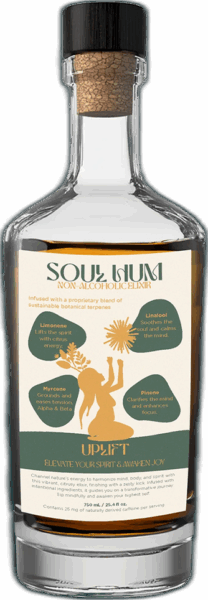 Soul Hum Uplift Non-Alcoholic Elixir spirit image