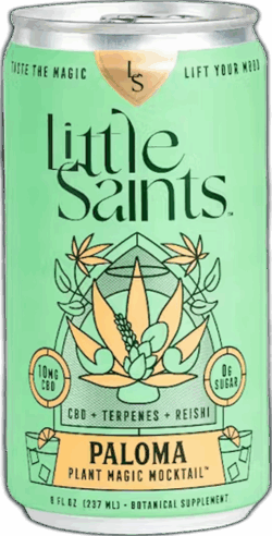Little Saints Paloma spirit image