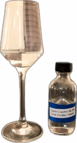 Clairin Casimir spirit image