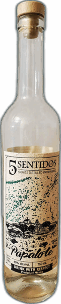 5 Sentidos Papalote spirit image