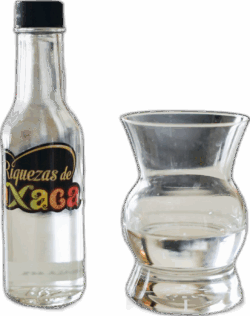 Riquezas de Oaxaca Tobala spirit image