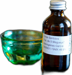 5 Sentidos Ensamble de 5 Magueys spirit image