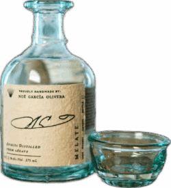 Maguey Melate Noe Garcia Olivera Coyote spirit image