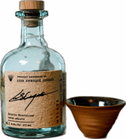 Maguey Melate Luis Enrique Juarez Ensamble spirit image