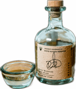 Maguey Melate David Rivera Herrera Papalometl spirit image