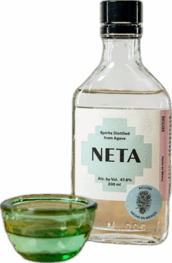 NETA Jorge Vasquez Aquino Bicuixe spirit image