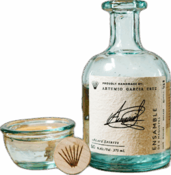 Maguey Melate Artemio Garcia Cruz Ensamble de 6 Magueyes spirit image