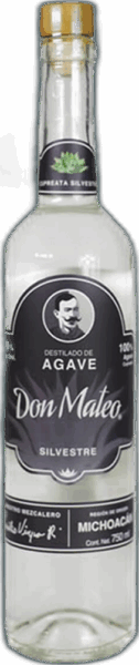 Don Mateo Silvestre spirit image