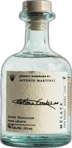 Maguey Melate Antonio Carlos Martinez Largo spirit image