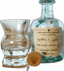 Maguey Melate Marta and Isaac García Tepextate spirit image