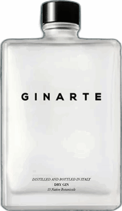 Ginarte Dry Gin spirit image