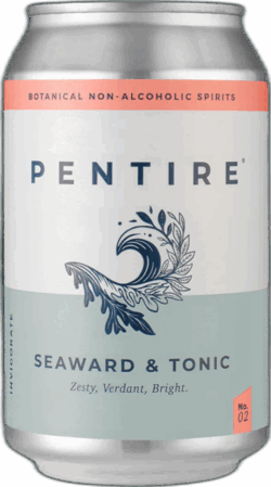 Pentire Seaward & Tonic spirit image