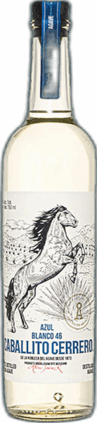 Caballito Cerrero Azul Blanco 46 spirit image